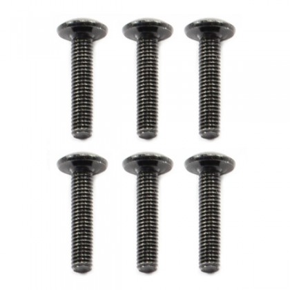 FTX Outback Button Head Screw M3*14 (6)
